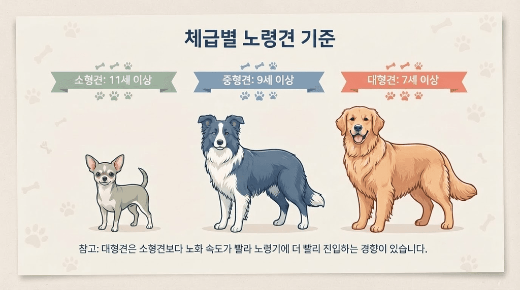 체급별 노령견 기